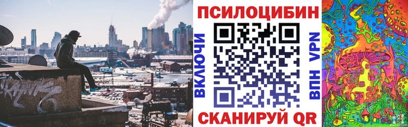 Псилоцибиновые грибы мицелий  Красный Кут 